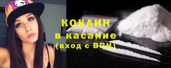 индика Ростов