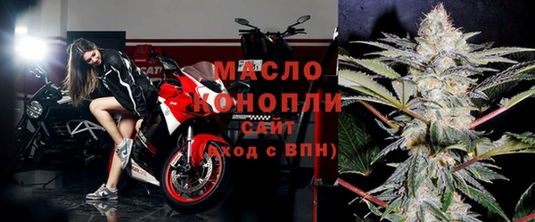 индика Ростов