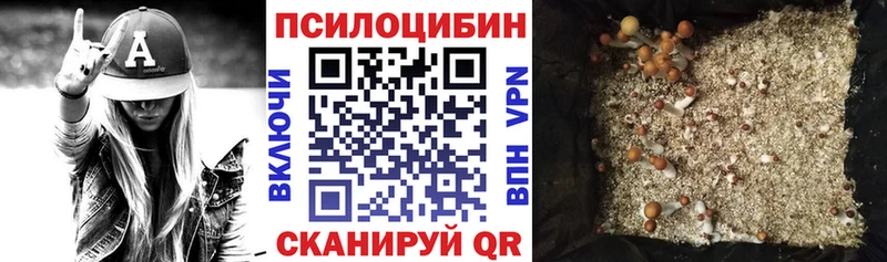 Псилоцибиновые грибы мицелий Строитель