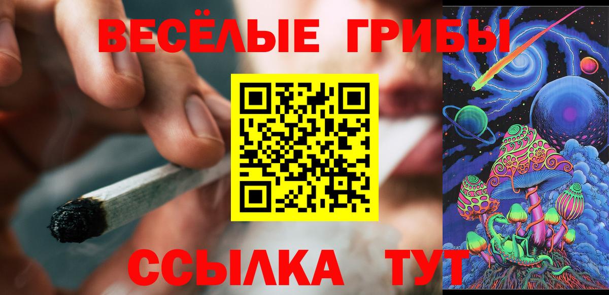 Строитель  Псилоцибиновые грибы Psilocybine cubensis  Вход с VPN  Галлюциногенные грибы мухоморы 